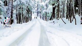 Snow fall❤❤