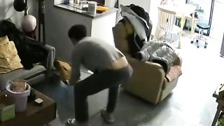 Funny Cat