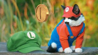 Super Mario CAT Bros