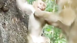 I don't want to go with mother