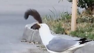 Did I just witness cannibalism...
