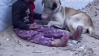 Humanity