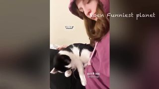 Funny Animal Video ONG!