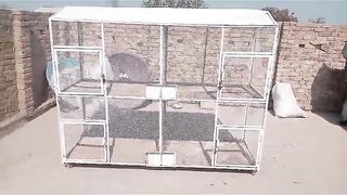 Pinjra cage
