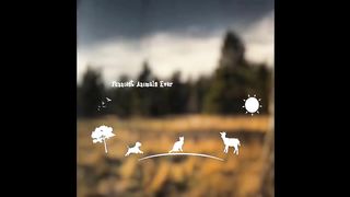 Funny Animal Video #Whatever