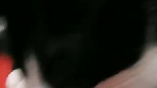 Pusa Kong makulet