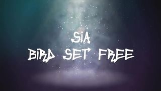 Sia - Bird Set Free (Lyrics)