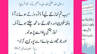 اسلامی معلومات Like share follow