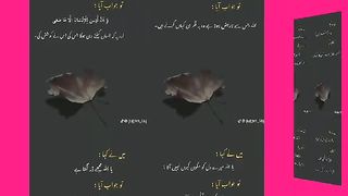 اسلامی معلومات Like share follow