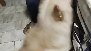May gamot na sa mata SI Bruce????