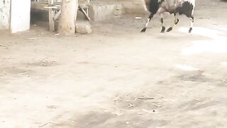 When you are just not lucky