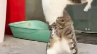 #cute# funny #laugh #funnyvideos