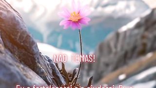 Nao  temas !