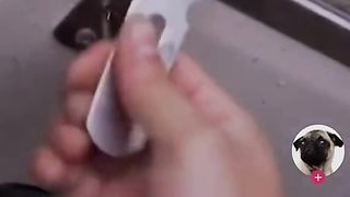 Real or Cap? Open lock with magnet