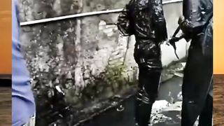 Funny Videos