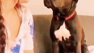 Bark at your dog ????