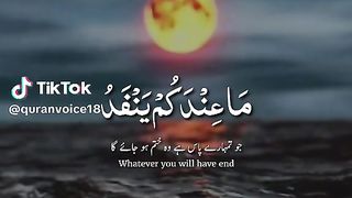 Telawat Quran in Beautiful Voice