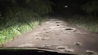 Worst road ever