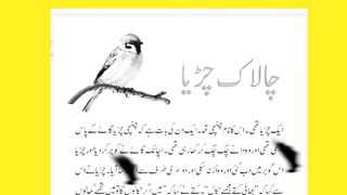 چلاک چڑیا driver bird
