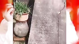 Ketika Kocheng Sedang Gabut