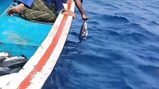 Sea fishing #fishermen