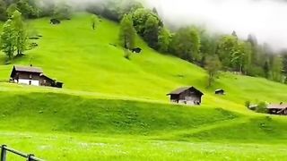 the beauty of this nature