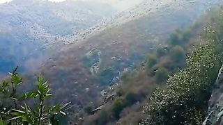 سردی کا موسم