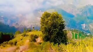 زبردست موسم