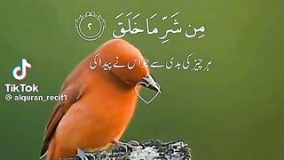 Surah Al Falak# verses 1-5#