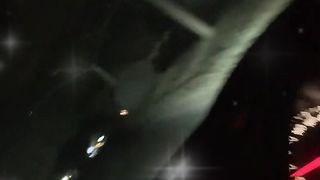 Beast on the road