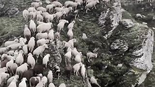 حضرت ابراہیم کا بہت ہی خوبصورت اور دل کو چھو لینے والا واقعہ