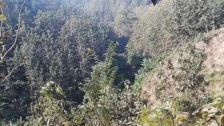 Natural