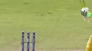 Jasprit Bumrah best bowled wickets❤_????_Yorker king best Yorker deliveries????_#shorts #cricket #bumrah