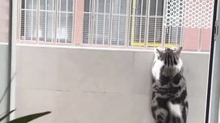 maaf aku semakin bulat