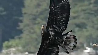 beautiful nature