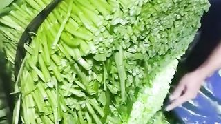 Satisfying ASMR: Vegetable Edition!