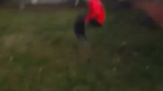Ridiculous Incident vol 314