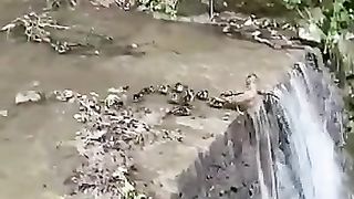 No can learn from them...