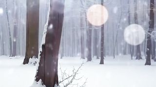 Natural winter video