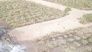 یہ  یے میرے دوست کا مزرہ