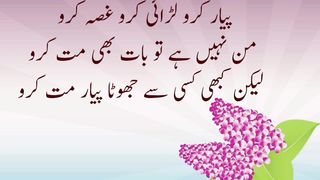 شعر ،پیار کرو لڑائی کرو غصّہ کرو