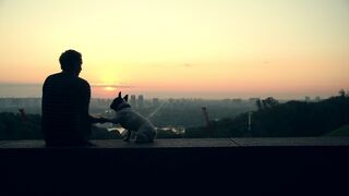 Man with his dog watching the sunset on the horizon