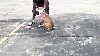 Woman confronts man for abusing his dog