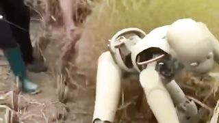 Robot on farming