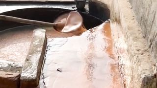 Gula Tebu India ????