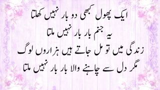 شعر و شاعری