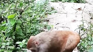 His child is dead, sorry