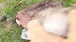 Making an Obsidian Knife! #knifemaking
