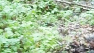 Beautiful nature