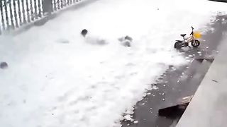 Funny videos